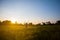 Happy man see off evening sun among a green summer prairie