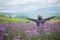 Happy of man standing alone on mountain with open arms raised up in verbena purple flower field in the morning. Enjoying  nature.