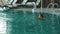 Happy man swimming at modern hotel on vacation. Handsome man bathing at pool.