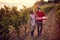 Happy man and woman gather harvest grapes