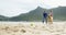 Happy mature couple playing with dog on the beach