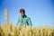 Happy mature technician checking the growth of the wheat for a quality control in a cereal field in summer