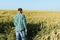 Happy mature technician checking the growth of the wheat for a quality control in a cereal field in summer