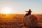 Happy middle-aged woman sitting on haystack in autumn field and feeling free with arms opened