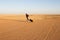 Happy moment: Man runs and plays with his dog in the desert.