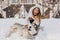 Happy moments on winter time of amazing youful girl playing with husky dog in snow. Brightful positive emotions, true