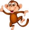 Happy monkey