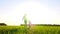 Happy Mother and child running across the green field at sunset. Mom and her son walk slowly along the green lawn. The