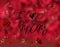 Happy mother day love  greetings red roses  flowers gold elements  and text  wishes festive blurred  background template for holid