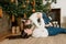 a happy mother lifts her daughter in her arms while lying under a Christmas tree.