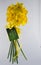 Happy Mother\'s Day Daffodil Bouquet