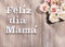 Happy Mother`s Day in letters - Words in Spanish