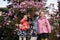 Happy Mother\\\'s Day. Mother with two daughters enjoying nice spring day near magnolia blooming tree