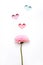 Happy Mother`s Day, Women`s Day or Valentine`s Day greeting card. Elegant gerbera flower and colorful hearts holes. Minimal