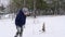 Happy mother and son play snowballs, throw powder in the woods on frosty winter day. Woman and boy have a snow battle