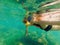 Happy mother and son snorkeling on beach