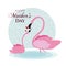 Happy mothers day flamingo cartoon