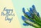 HAPPY MOTHERS DAY Postcard layout. Spring modern still life. Blue muscari flowers growing from rectangular cut in paper on blue