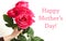 Happy Mothers Day text on white background with flower bouquet of pink roses in female hand. Flower delivery, Congratulations for