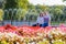 Happy multicultural mature couple in casual clothes sitting on the edge of a fountain with flowers in the foreground