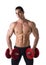 Happy muscular shirtless young man holding dumbbells