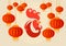 Happy New 2017 Year Rooster Bird Chinese Lantern Asian Horoscope