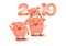 Happy New Year 2019,Welcome the golden pig year