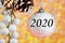 Happy new year 2020-Decoration toy-white sparkling ball, elegant snow-covered fir cone and branch, festive background, bokeh