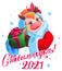 Happy new year 2021 Russian translation text greeting card. 2021 year of the cow hold gift box in santa costume