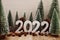 Happy New Year 2022 festive background with christmas tree and pine cone decoration on wooden background