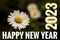 Happy New Year 2023 Abstract Background Illustration Text Header