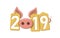 Happy New Year background. Pink pig, gold sale tags. Golden 2019 numbers. Piggy snout. Chinese design decoration