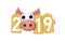 Happy New Year background. Pink pig, gold sale tags. Golden 2019 numbers. Piggy snout. Chinese design decoration