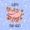 Happy New Year. Holiday card. The symbol of the new year 2019 is the Pig. Funny pig flies on balloons. The cartoon style