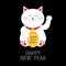 Happy New Year. Lucky white cat sitting and holding golden coin 2017 text