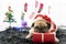 Happy New Year, Merry Christmas, holidays and celebration, Puppy pets bored sleeping rest in the room with Christmas tree. Pug dog