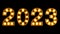 Happy New Year numbers 2023 in led light.