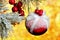 Happy new year-toy Decoration-red sparkling ball with bow, elegant snow-covered fir branch, festive bokeh lights background for