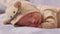 Happy newborn baby weaing cute Mouse costume lying sleeps on a grey blanket comfortable and safety.Cute Asian infant sleeping and