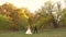 Happy newlyweds is dancing funny against the beautiful autumn landscape with colored fall trees.