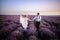 Happy newlyweds running along blooming lavender field