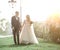 Happy newlyweds walking on the grass in the city Park.