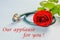 Happy nurses day. Red rose, stethoscope on the blue background closeup. Our applause for you. Thanks of all the people for nurses