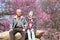 Happy old couple smiling in a park.mature couple with cherry blossom sakura tree.seniors lover family and healthcare concept