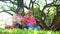 Happy old elderly couple spouses relaxing and sitting on a blanket in the park and sharing few precious memories. Senior couple
