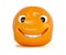 Happy orange. Smiling fruit cartoon character