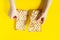 Happy Passover. Traditional bread Matzo in hands on a yellow background. Jewish holiday Pesach, place for text