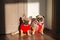 Happy pets pug dog and french bulldog dressed in knitted sweaters at home waiting for their owner. Funny dogs ready to go out. Dog