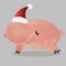 The happy pig is running. Pig with a Red Santa cap. Red cap,