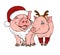 Happy pigs in Christmas costumes